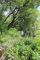 Коттеджный поселок «Комплекс землевладений «Лесные усадьбы»» | Фото 11